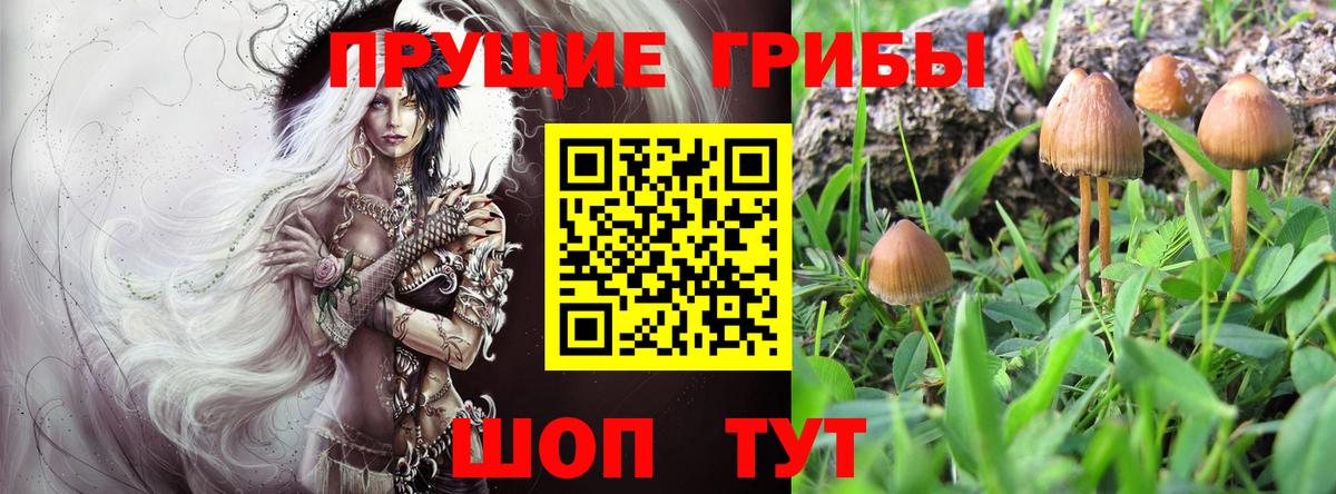 Псилоцибиновые грибы Magic Shrooms Верхний Уфалей