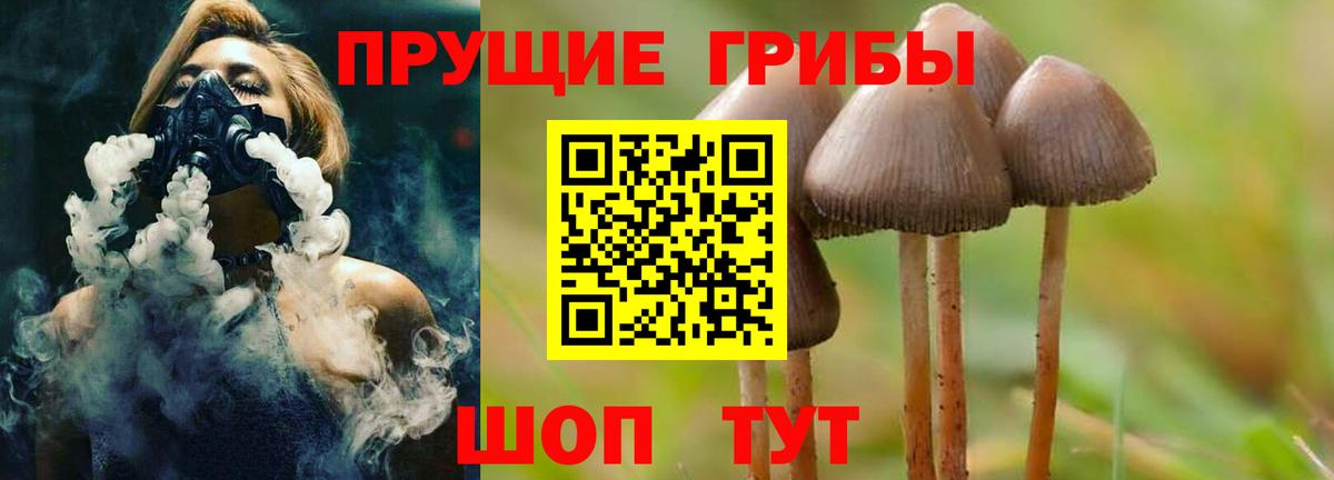 Верхний Уфалей  Галлюциногенные грибы Magic Shrooms  Вход с VPN 